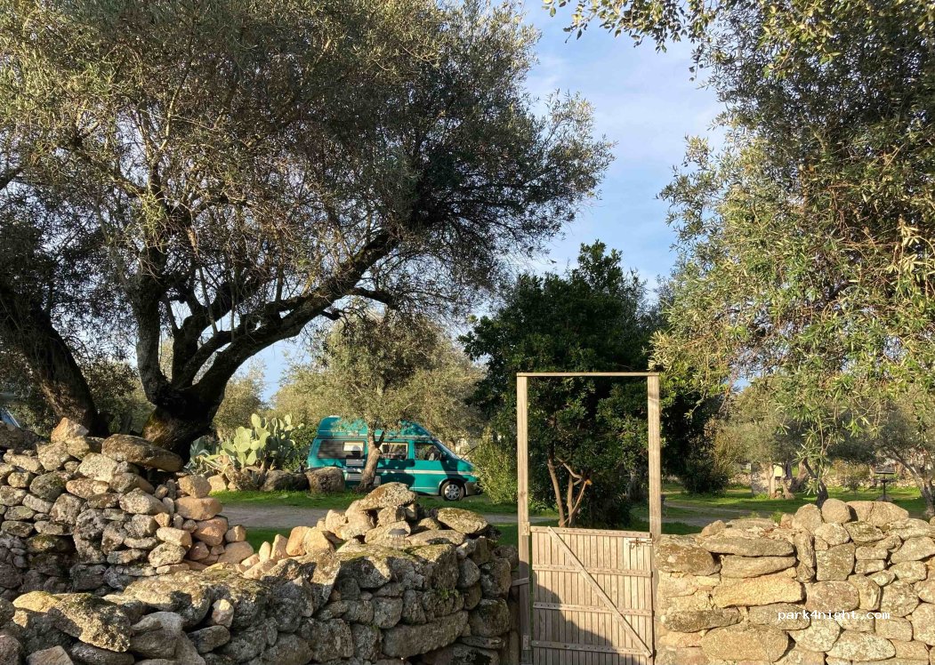 Camping Asseiceira — foto 4