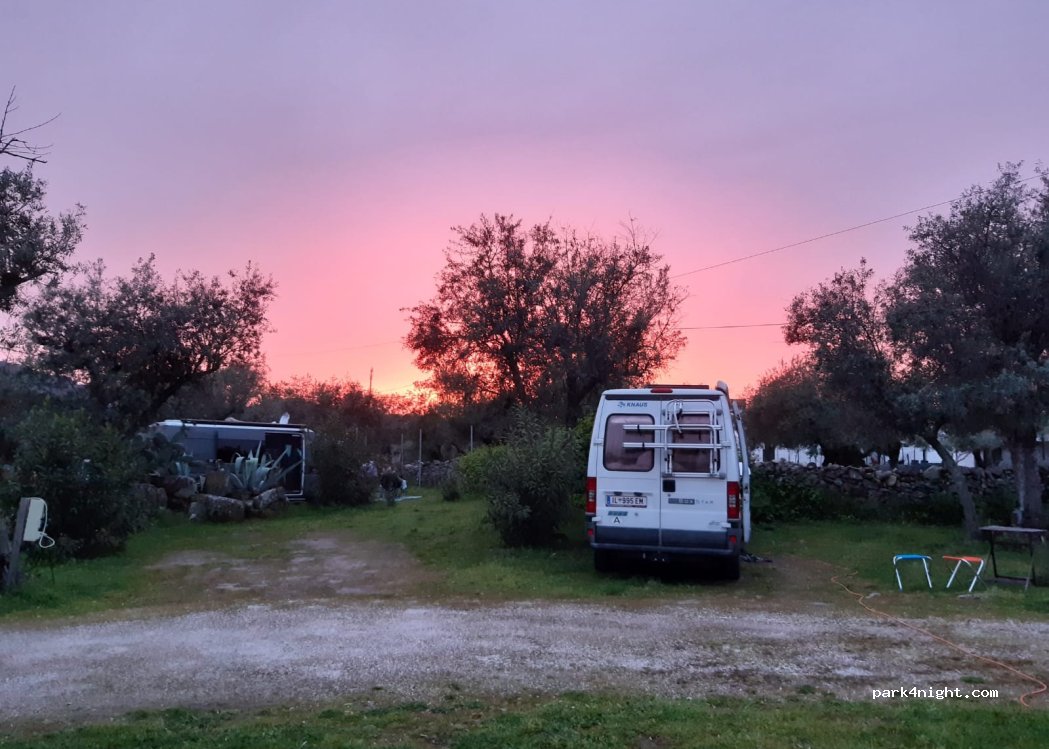 Camping Asseiceira — foto 5