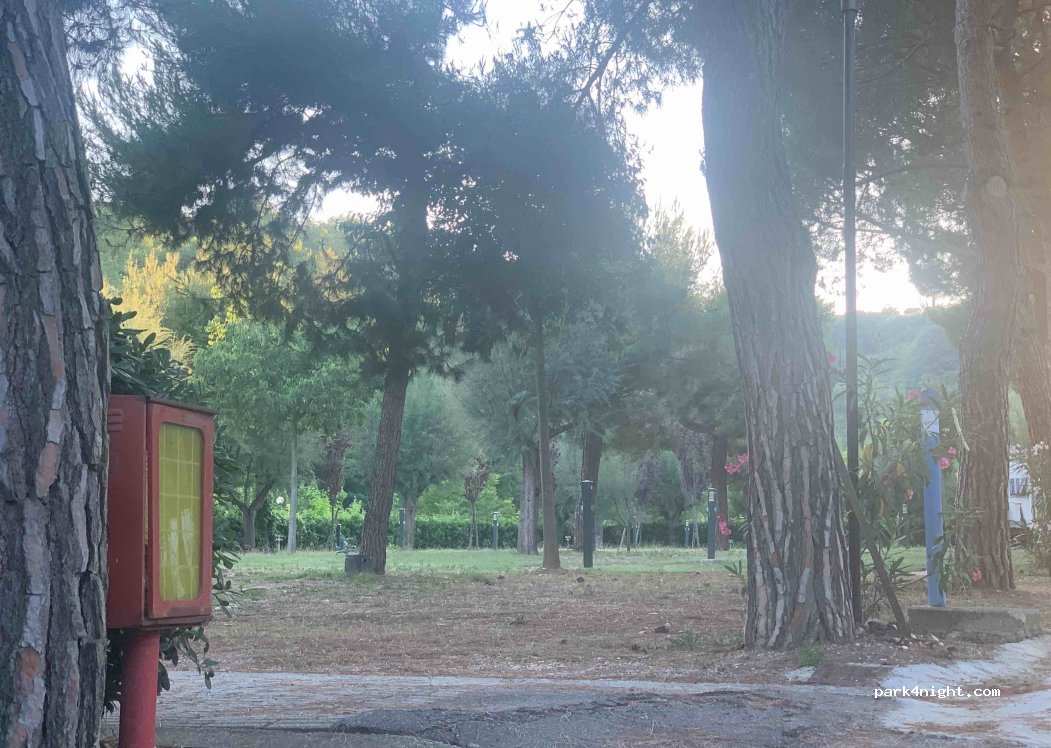 Camping Mirage — foto 3