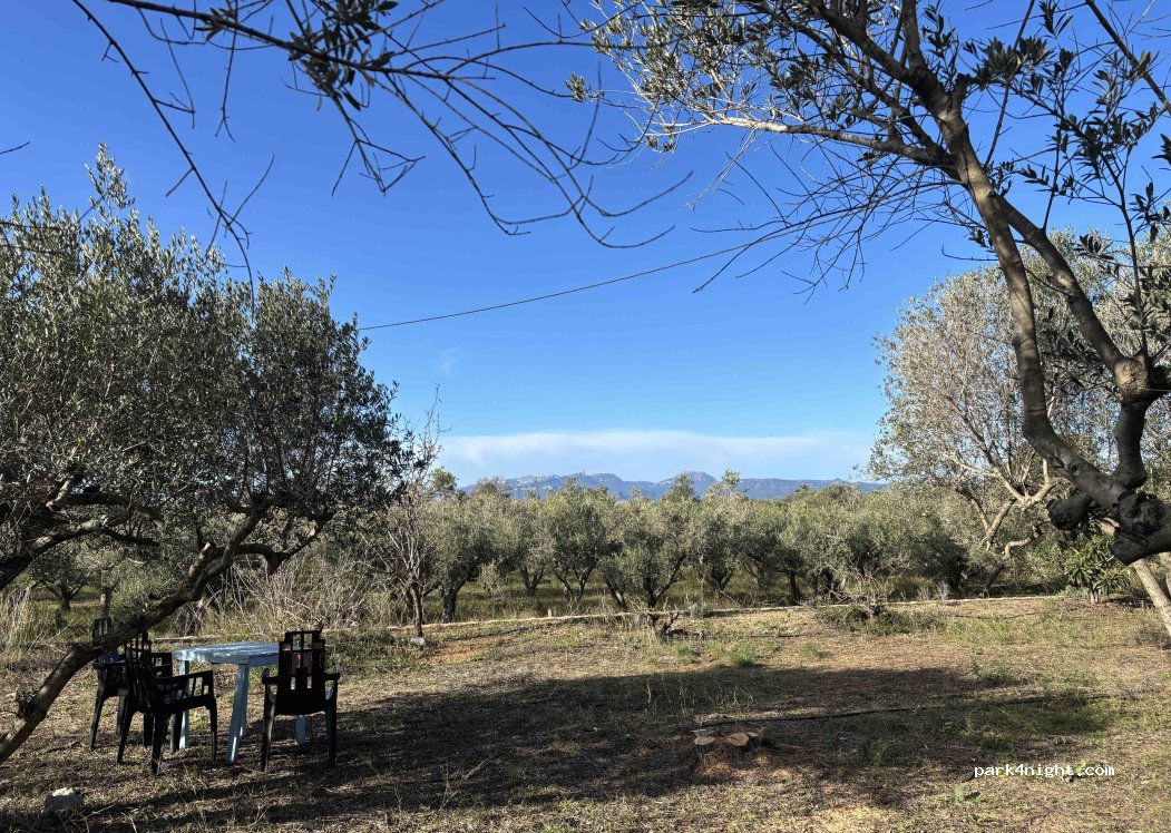 (43330) Riudoms - 1 Camí del Brugar — foto 2