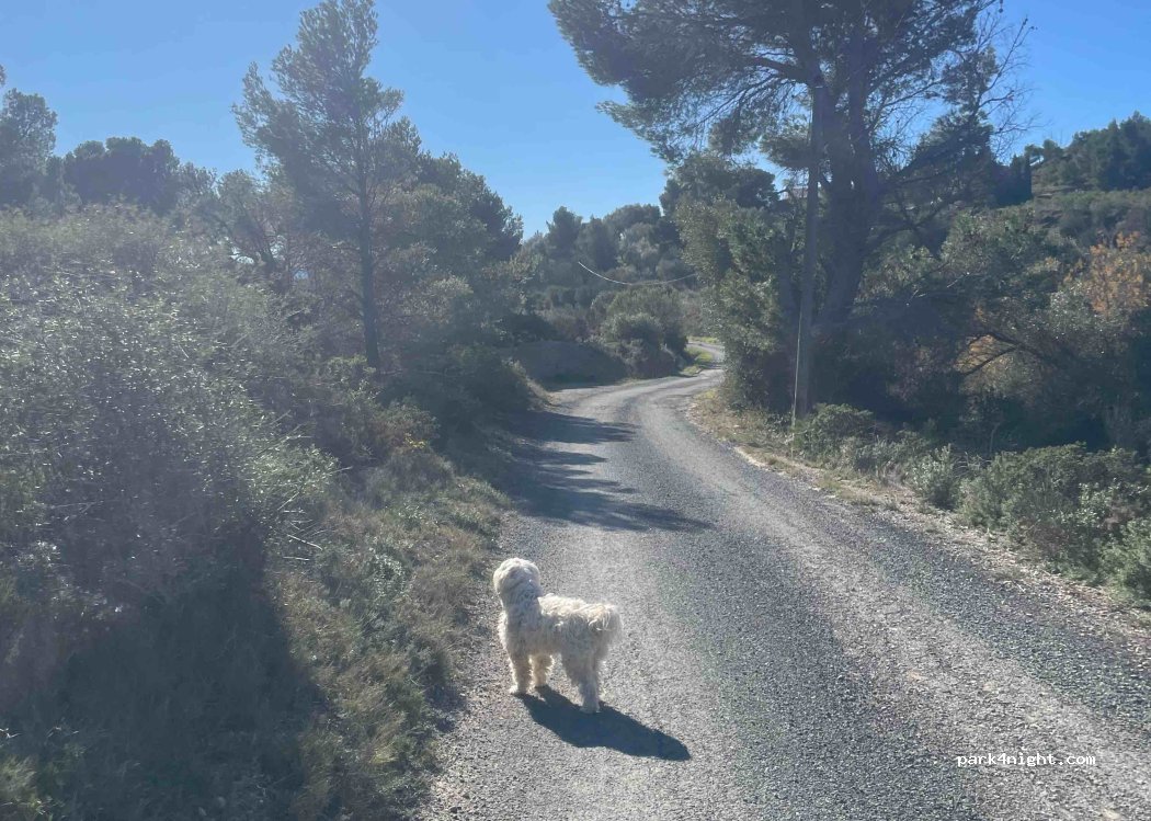 (11440) Peyriac-de-Mer - 2 La Sabine — foto