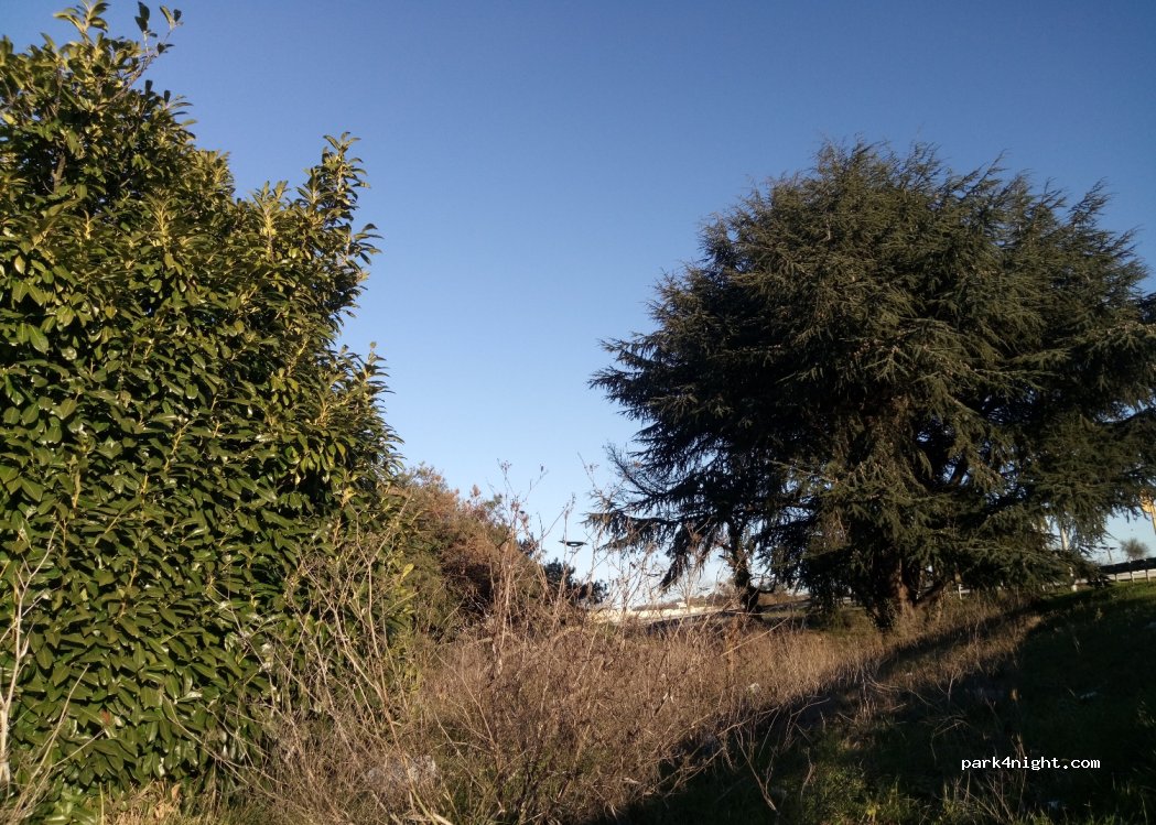 (31120) Portet-sur-Garonne - 31 Boulevard de l'Europe — foto