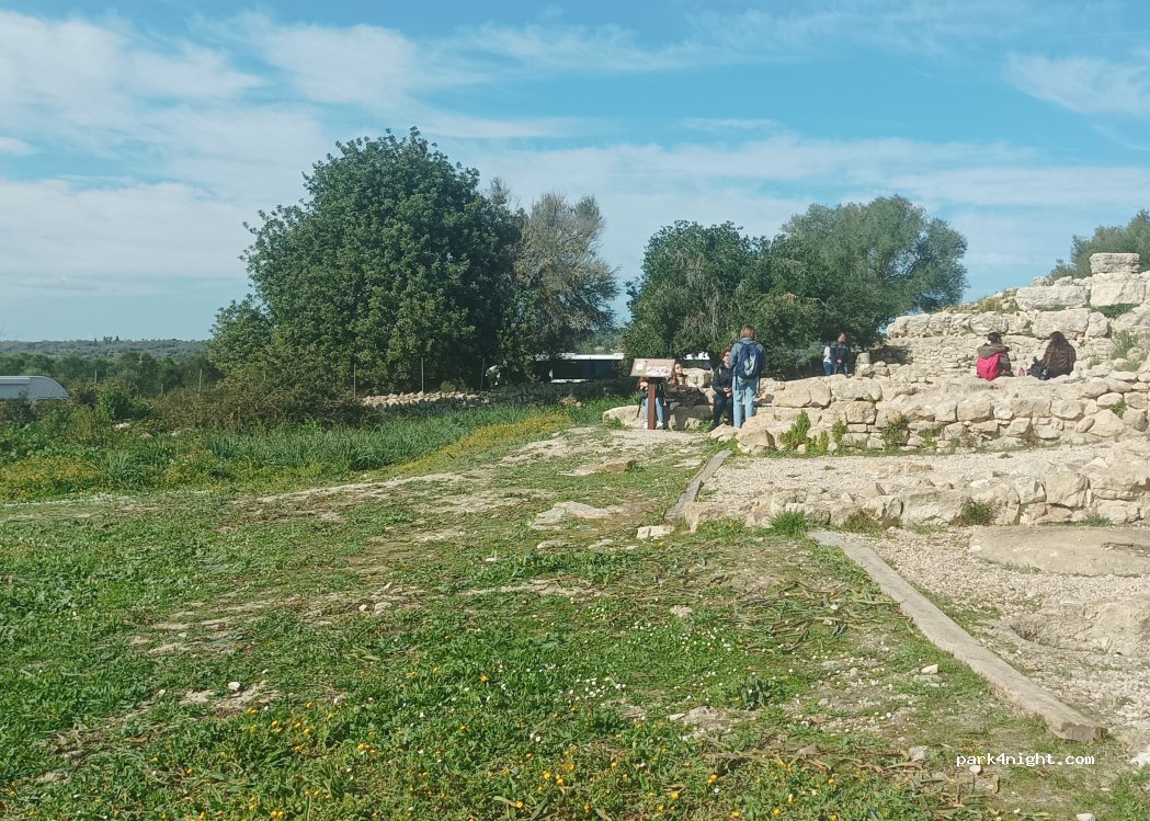 (07230) Montuïri - Unnamed Road — foto 3