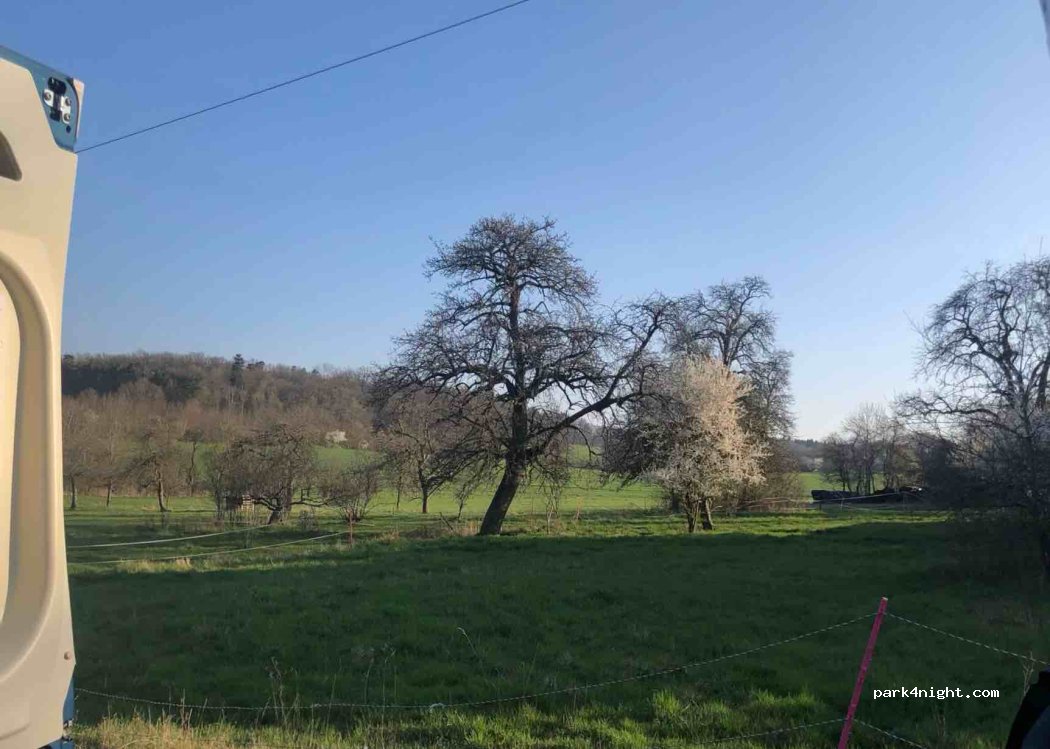 (74744) Ahorn - 2 Obereubigheim — foto 2