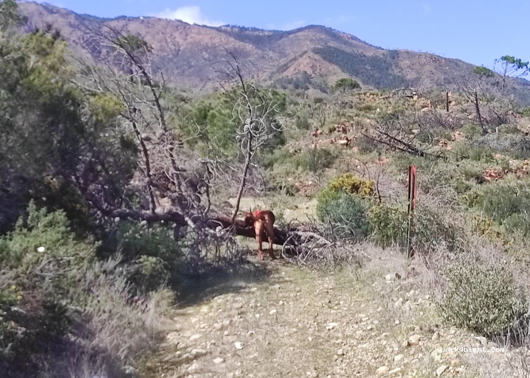 (29680) Estepona - Unnamed road — foto 2