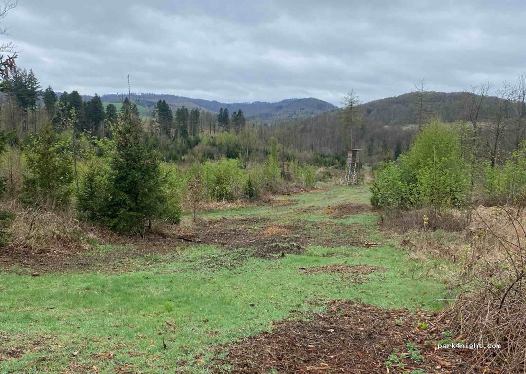 (34537) Bad Wildungen - Unnamed Road — foto