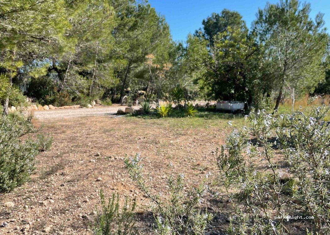 (12500) Vinaròs - 240 Plaça Poligono 04 — foto 3