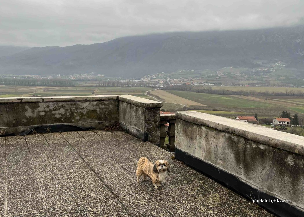(5271) Vipava - 26 Lože — foto