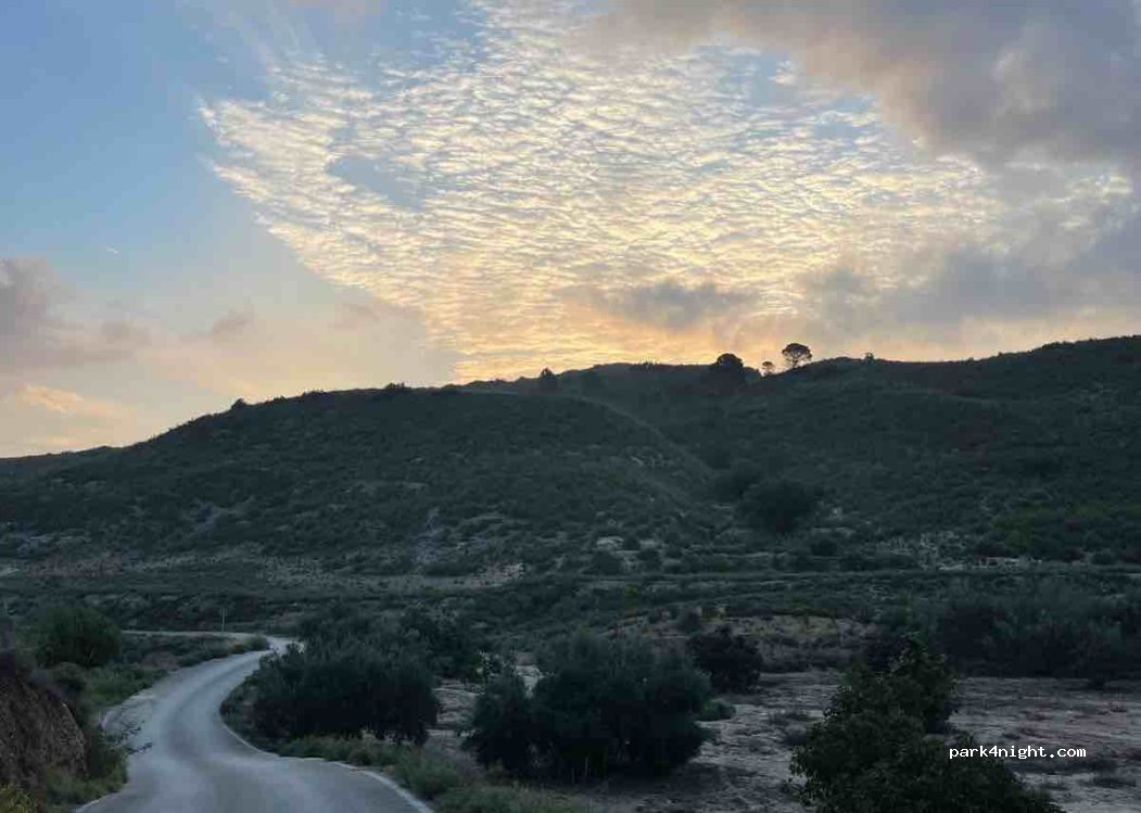 (04650) Fuente del Pino - — foto 3