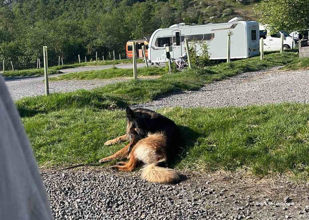 Glenshiel Campsite — foto 5