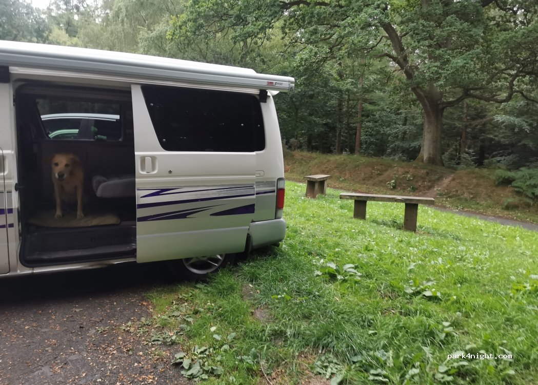 (NE17) Chopwell - Chopwell Woods Rd — foto 2