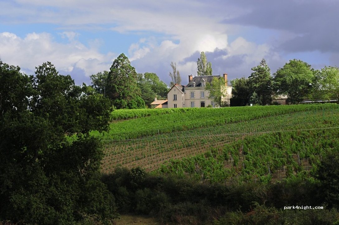 Séjour dans les vignes au Château La Viaudière — foto