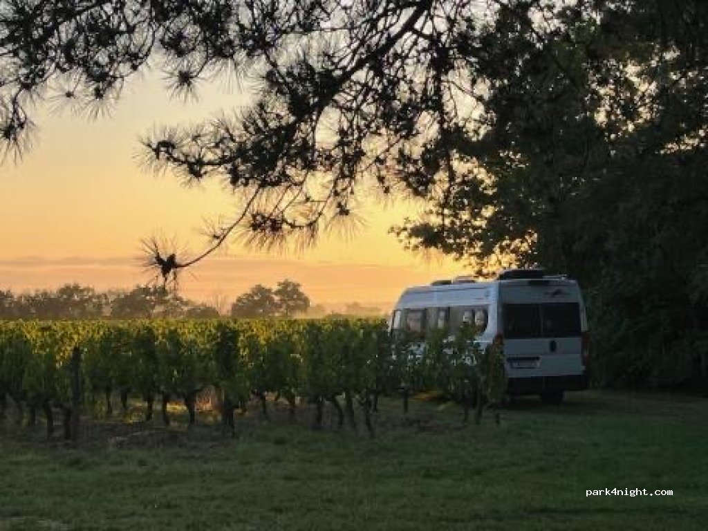 Séjour dans les vignes au Château La Viaudière — foto 2