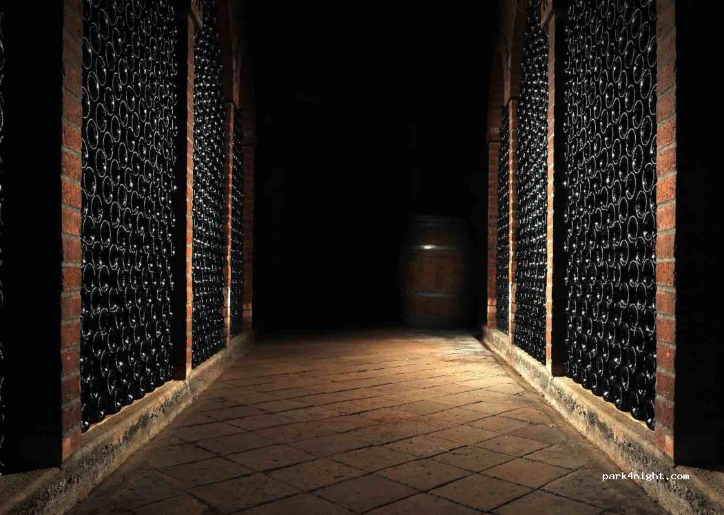 Séjour dans les vignes au Château La Viaudière — foto 5