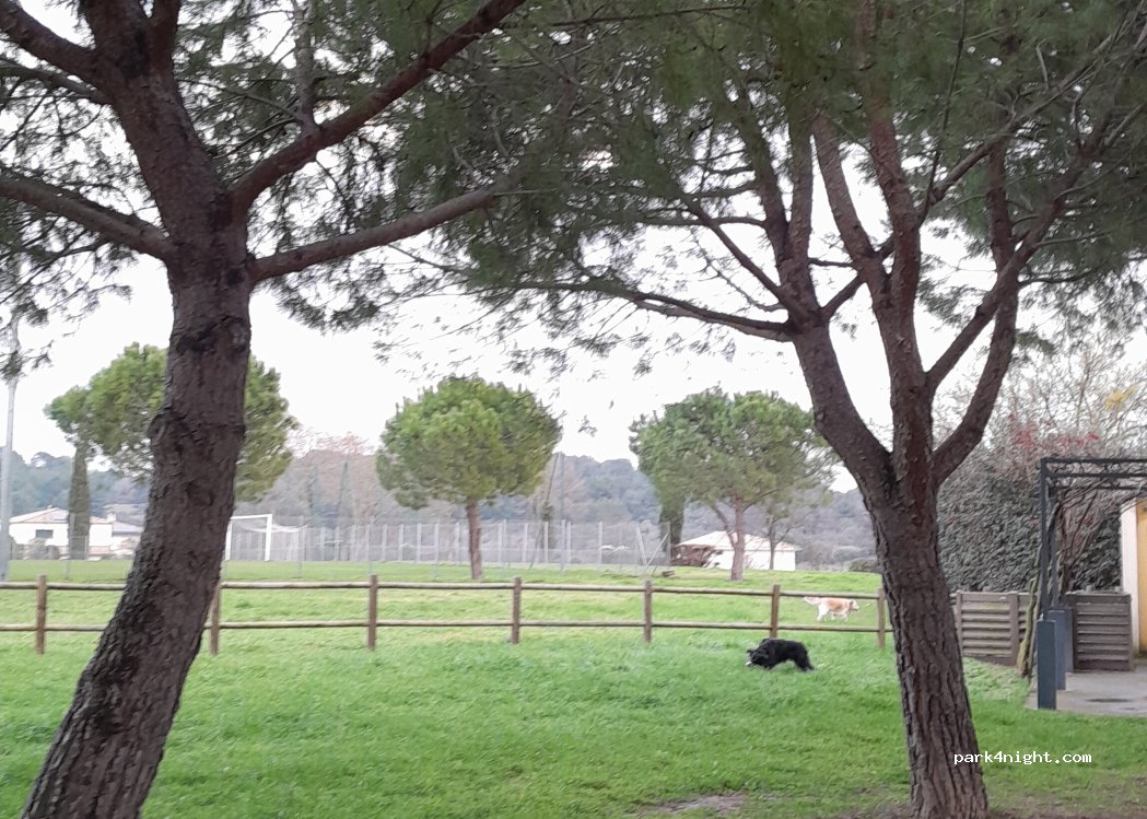 (30670) Aigues-Vives - 485 Rue de la Gare — foto
