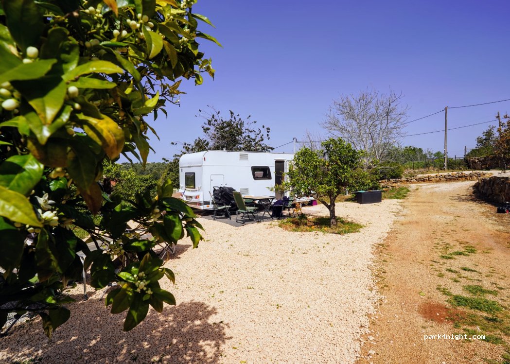 (8300) Silves - — foto 3