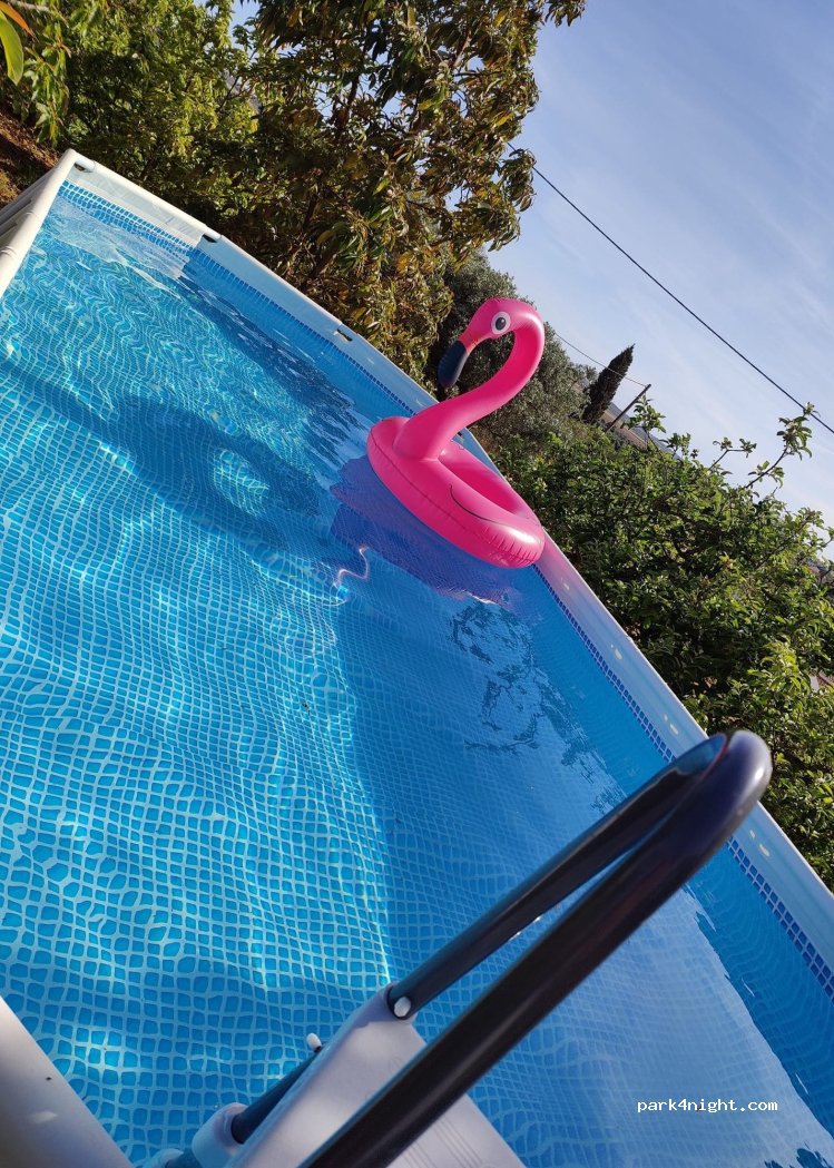 (8300) Silves - — foto 4