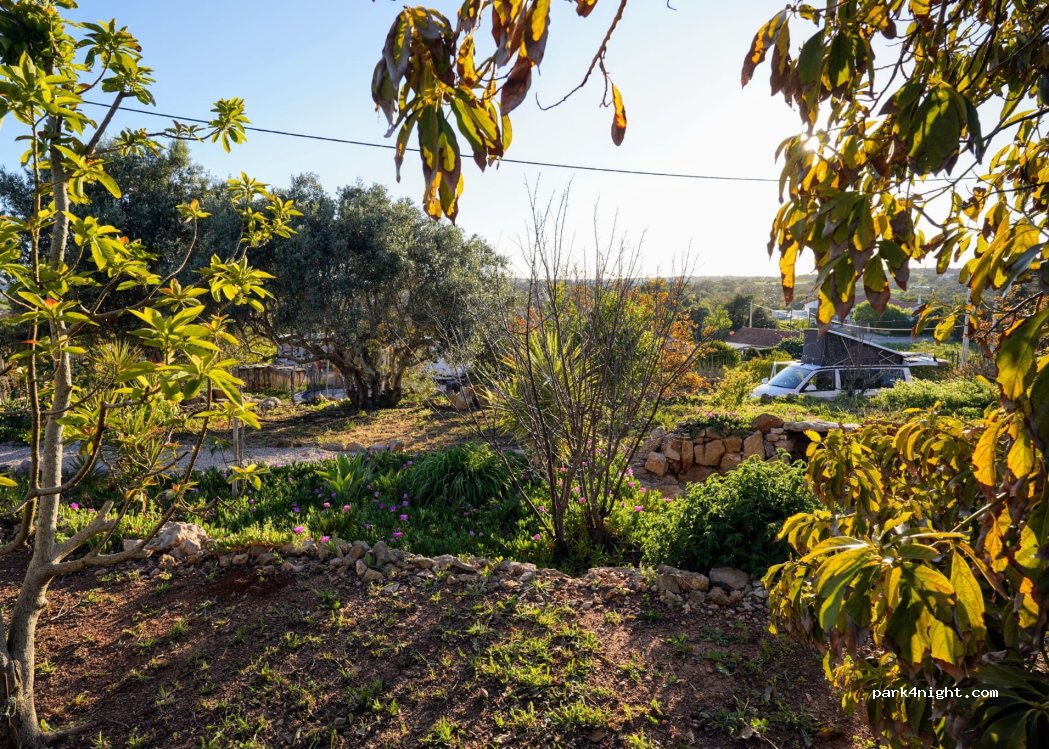 (8300) Silves - — foto 5