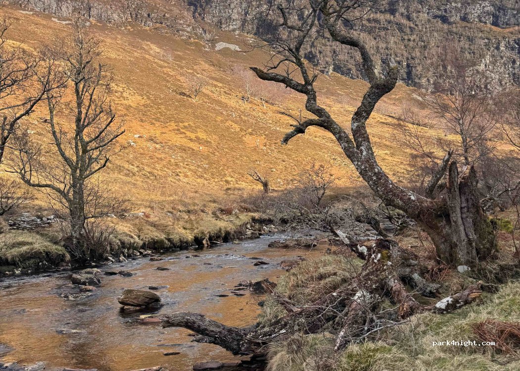 (IV23 2QW) Eilean Darach Lodge - — foto
