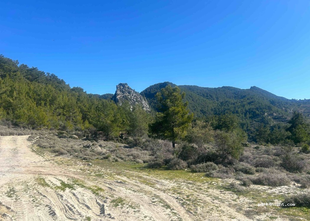 (07400) Çakallar - — foto 3