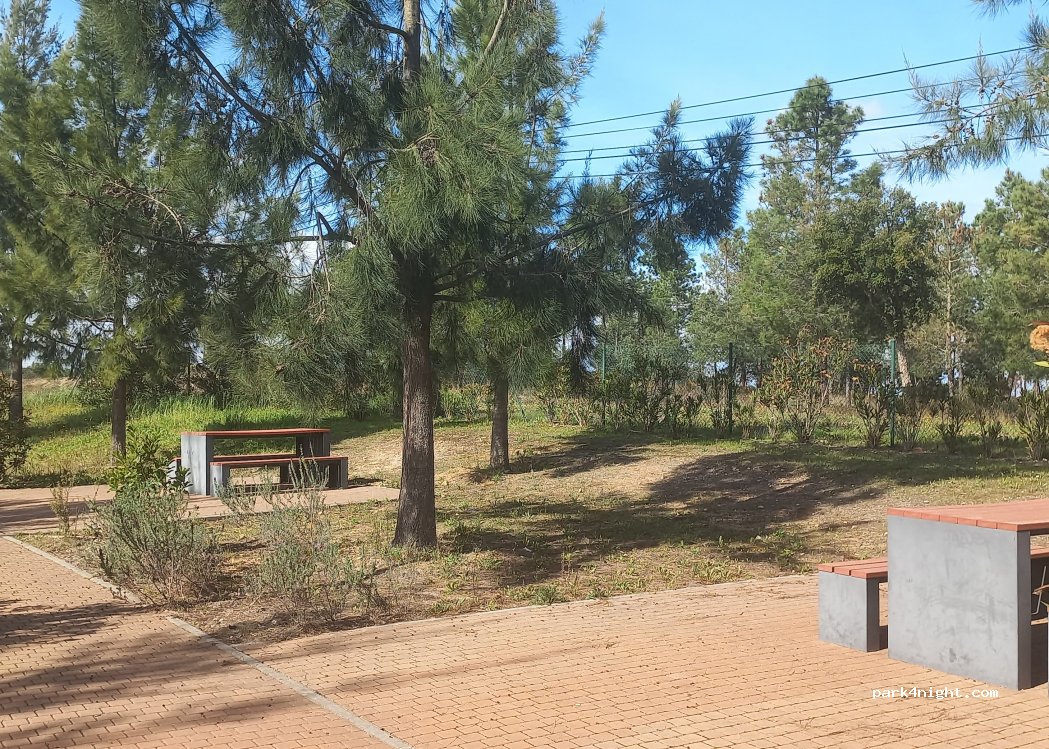 (7400) Vale de Açor - 33 Rua 1º de Maio — foto 4