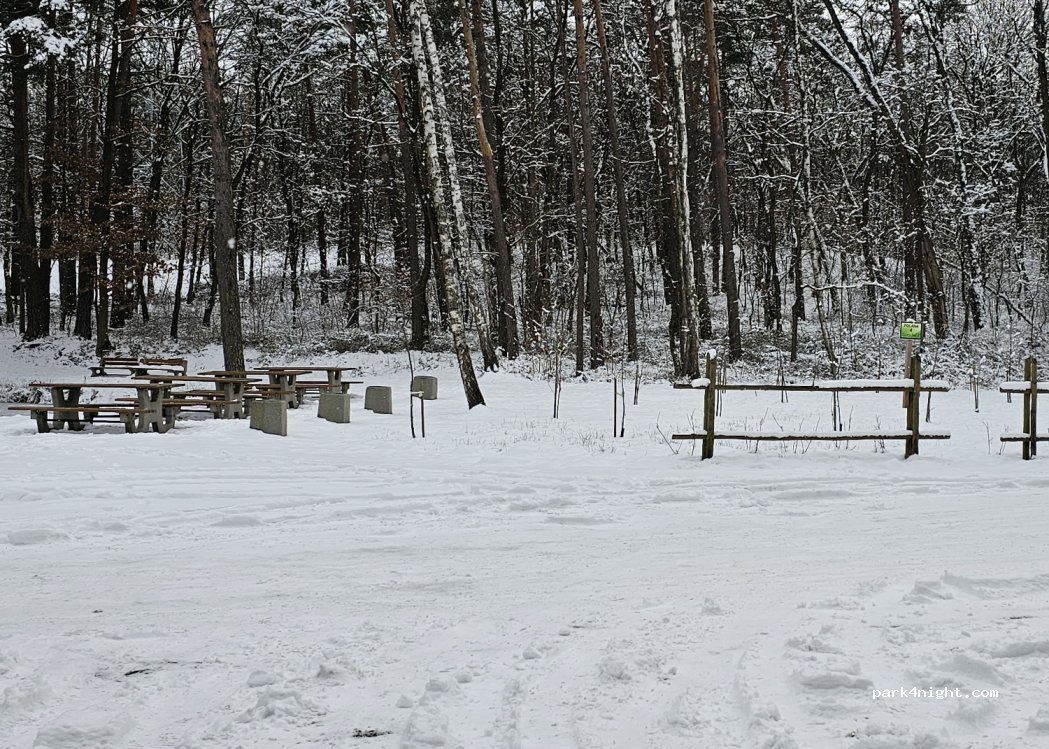 (65-980) Zielona Góra - 282 — foto 2