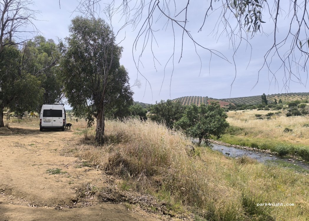 (45007) Santa Ana de Pusa - Unnamed Road — foto 3