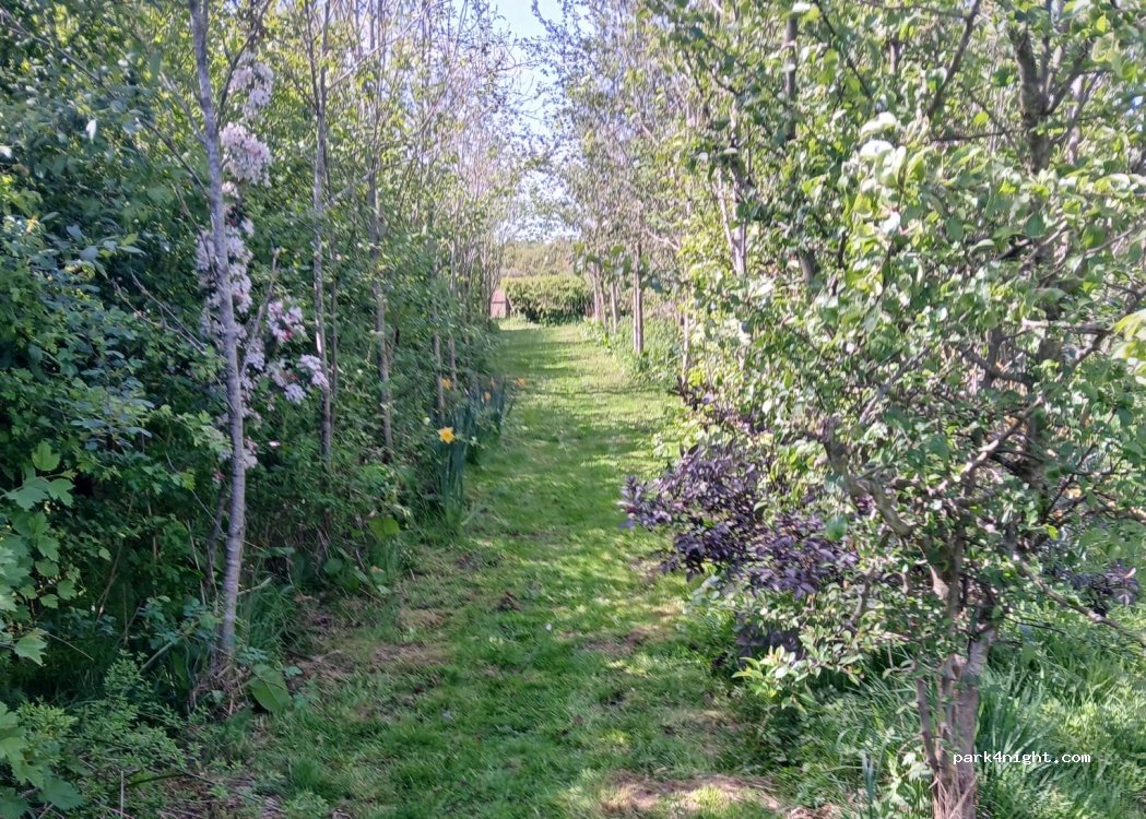 The Moors House — foto 2