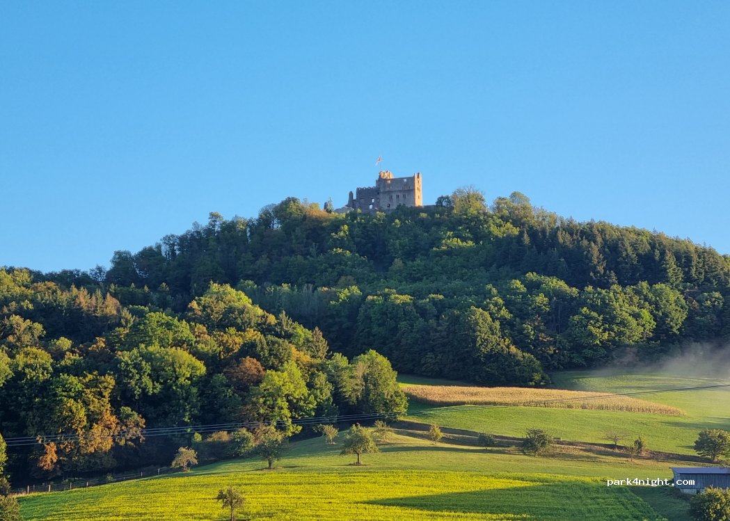 (77960) Seelbach - — foto 4