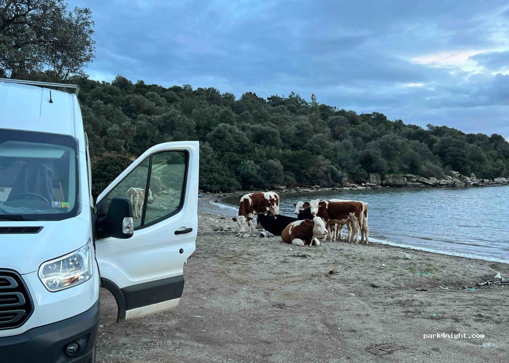 (48200) Kıyıkışlacık - — foto 2