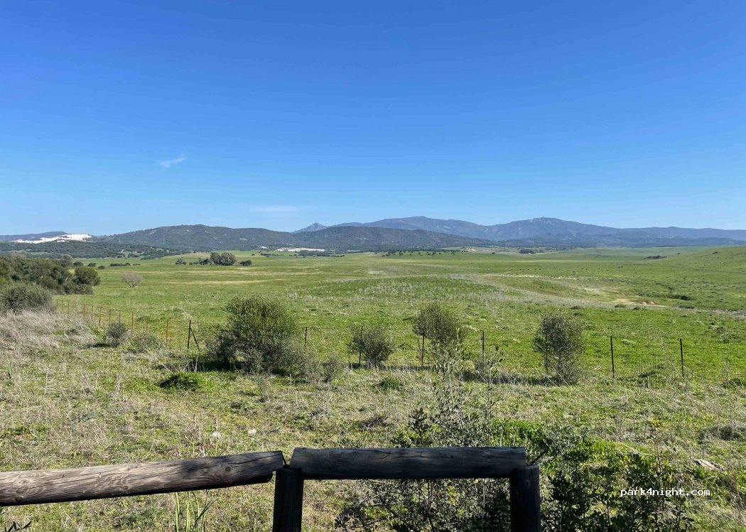 (11180) Alcalá de los Gazules - — foto