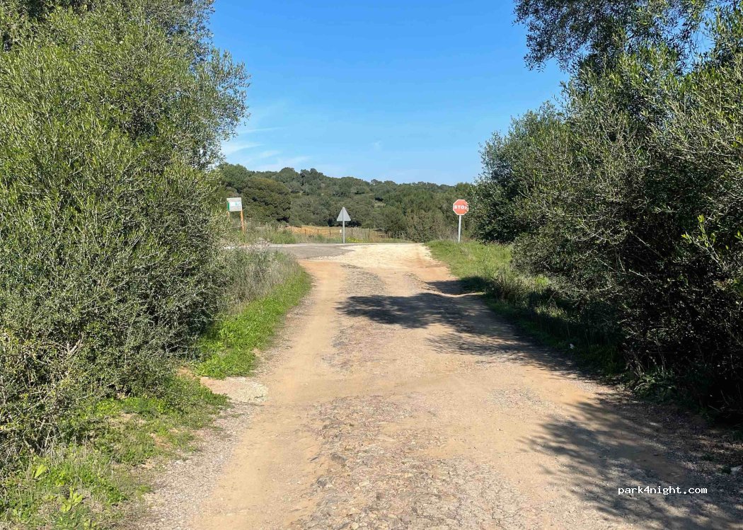 (11180) Alcalá de los Gazules - — foto 2