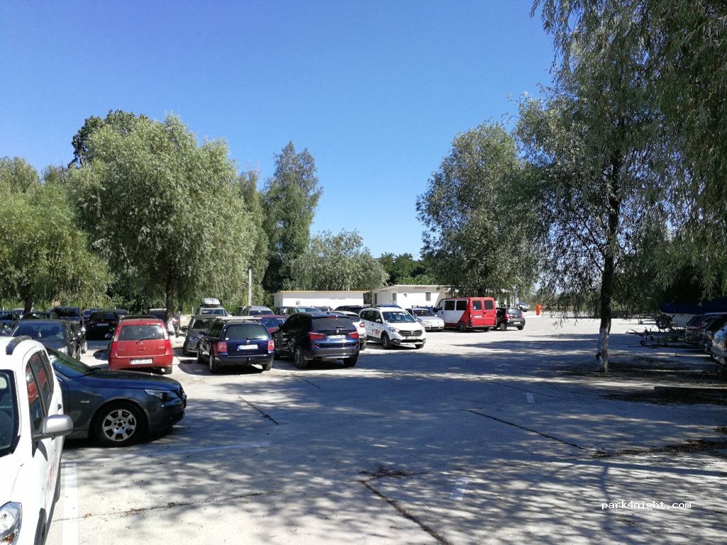 (827150) Gheorghe - DJ229M — foto