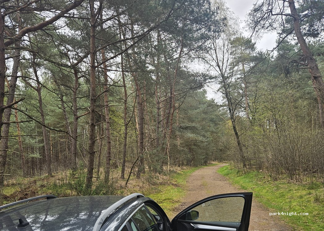 (3920) Lommel - — foto 2