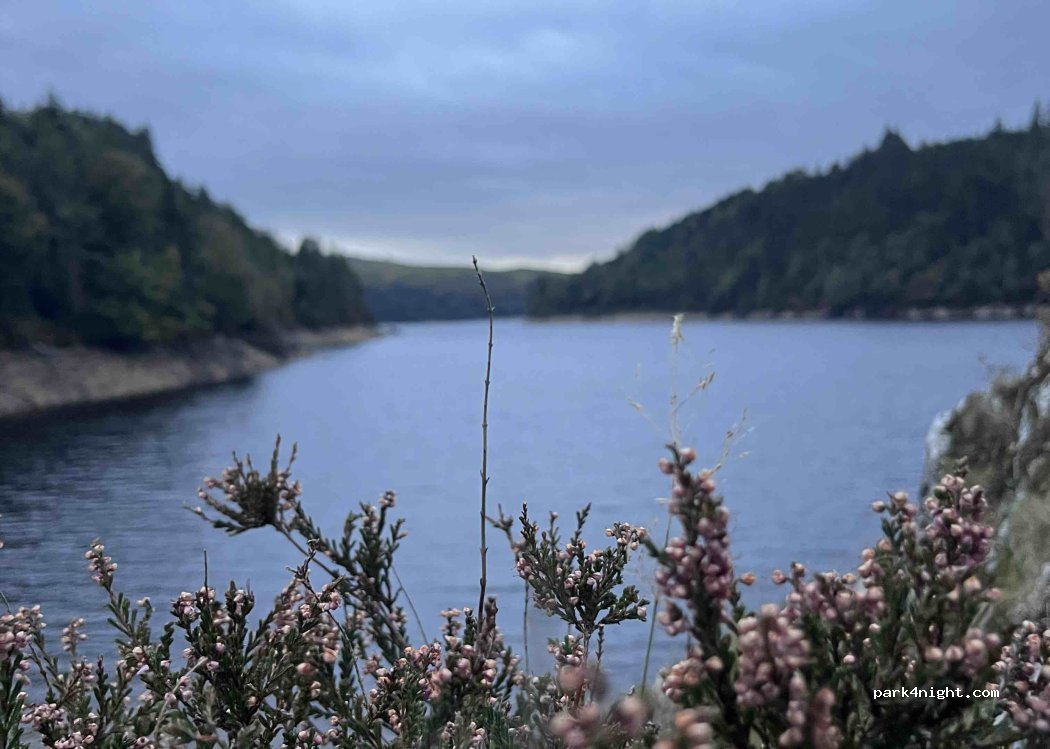 (SA20 0PG) Llanwrtyd Wells - — foto 3