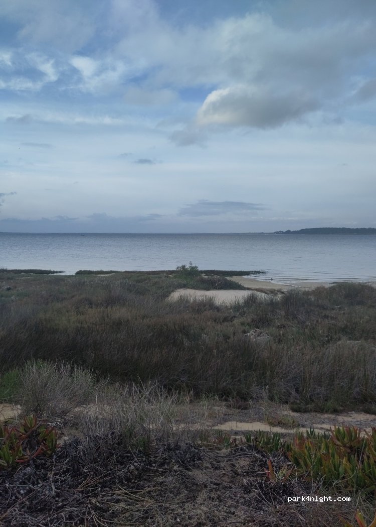 (7580) Comporta - — foto
