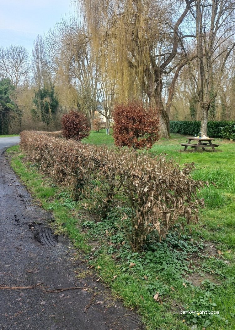 (37500) Saint-Germain-sur-Vienne - 117 Le Bas Rassay — foto 2