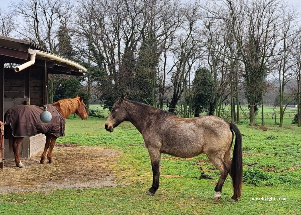 (26300) Châteauneuf-sur-Isère - 815 Pêche-Ouest — foto