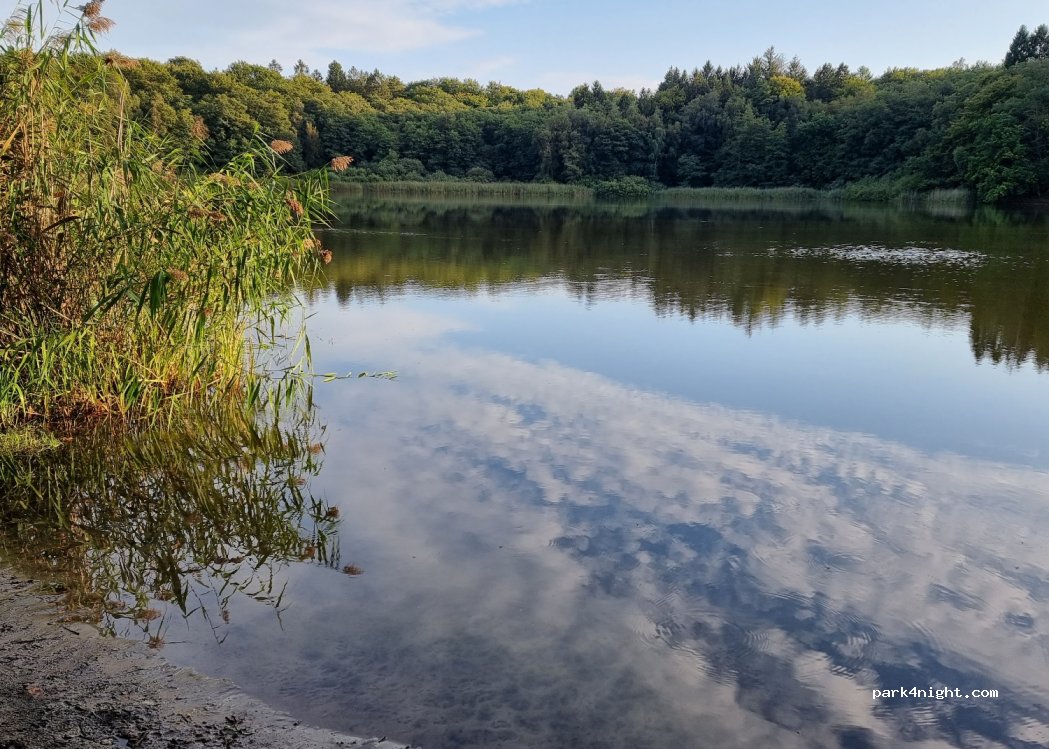 (22952) Lütjensee - 40 Trittauer Straße — foto 3