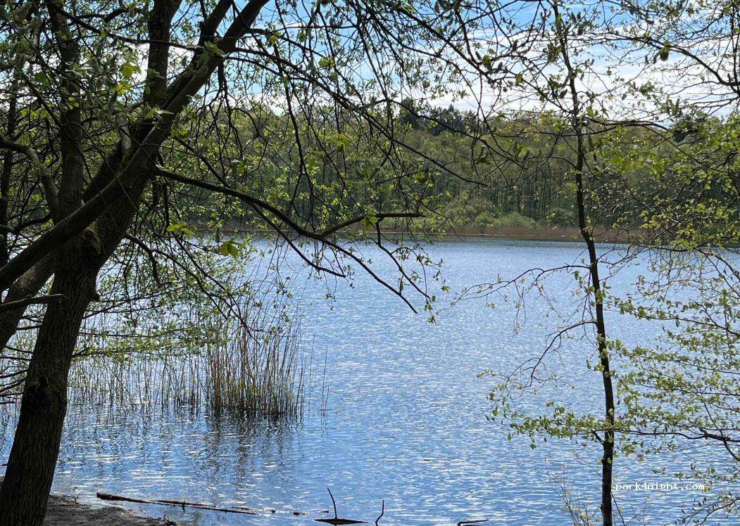 (22952) Lütjensee - 40 Trittauer Straße — foto 4