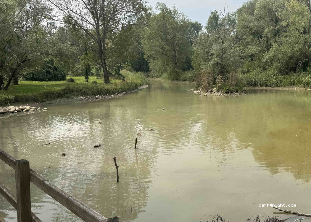 (41049) Sassuolo - 2 via dei Moli — foto 3