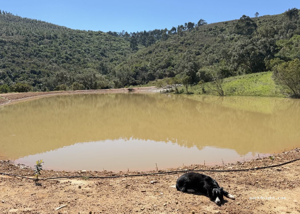 Monte Parreira — foto 5