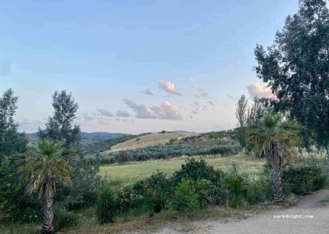 Arco del Sol — foto 2