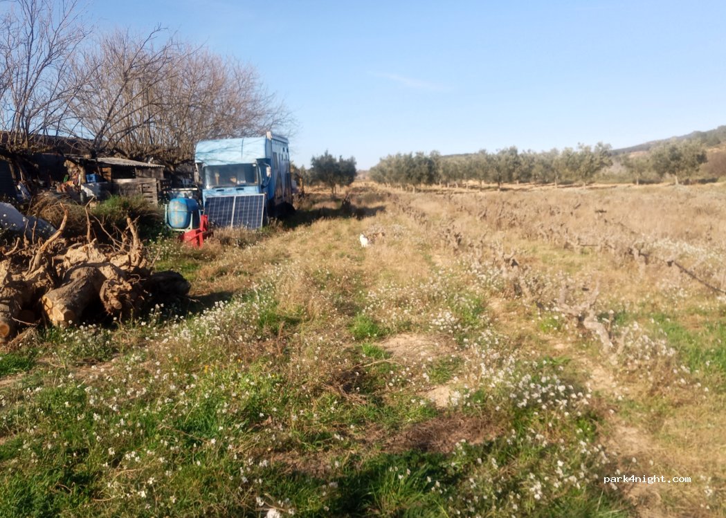 (43784) Corbera d'Ebre - — foto