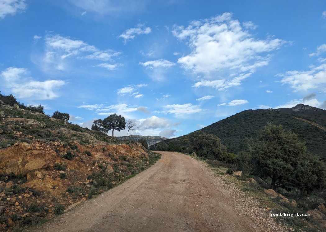 (13130) Fuencaliente - Cam. de Mestanza — foto 3