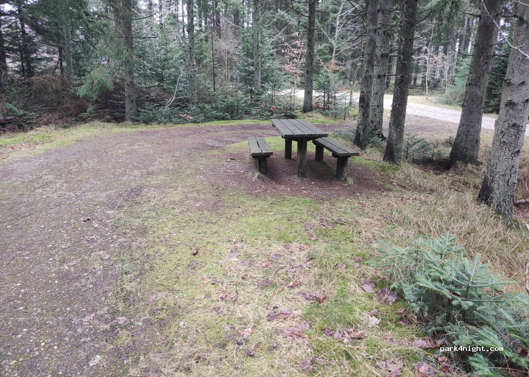 (7755) Bedsted - 181 — foto