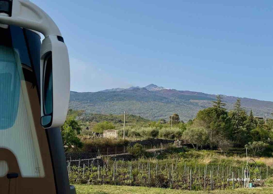Azienda Vitivinicola Vigneti Vecchio — foto