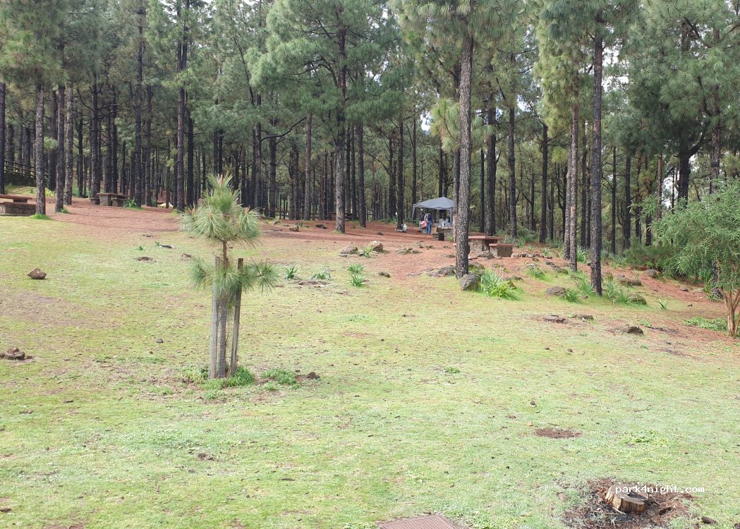 (35328) La Corte - GC-600 — foto 4