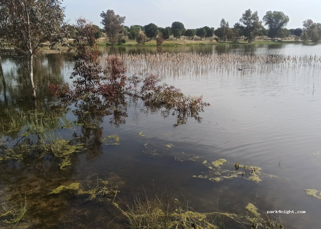 (06800) Mérida - 1 Avenida del Lago — foto 3