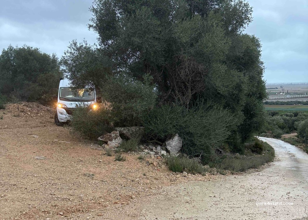 (43896) L'Aldea - — foto 2